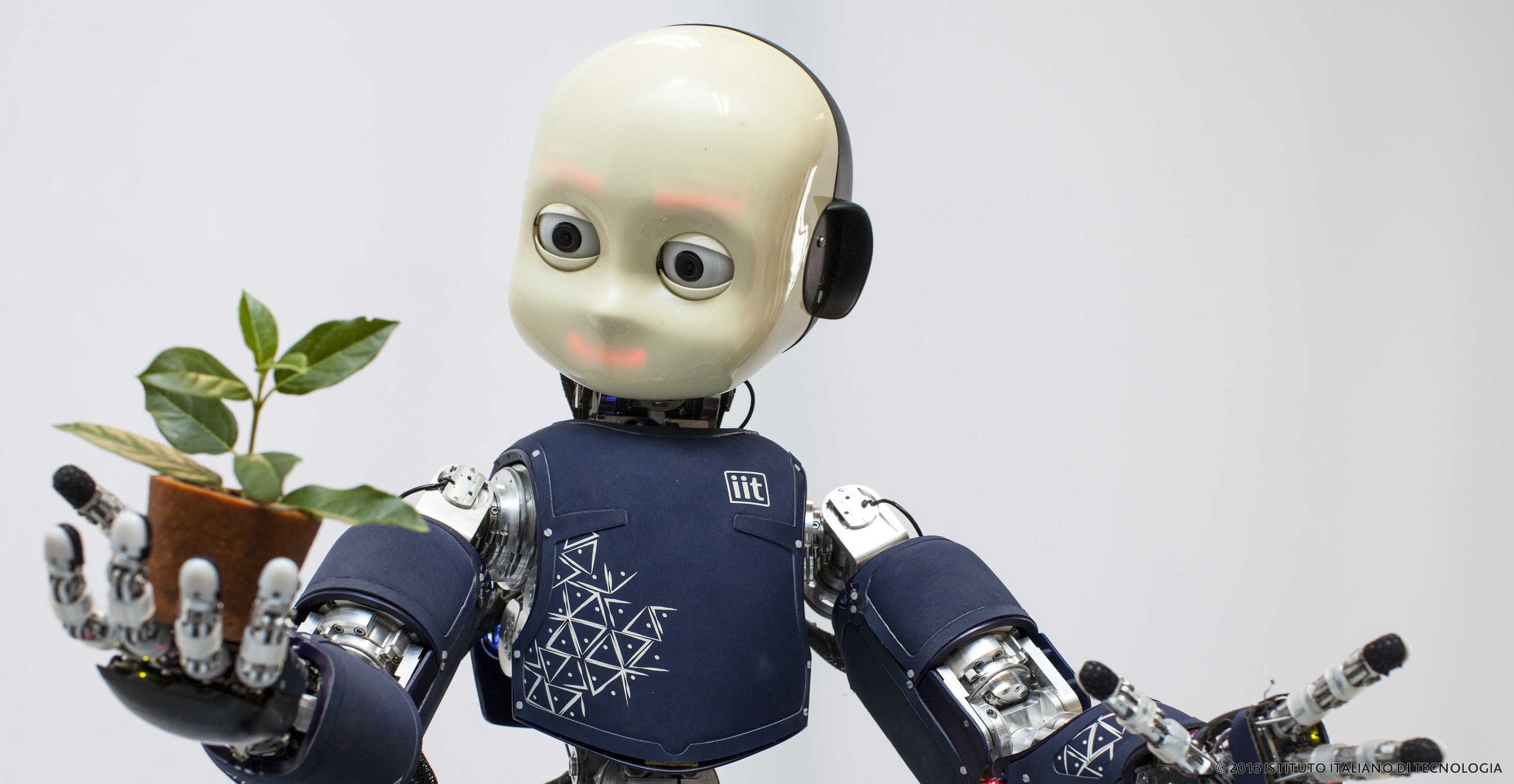 Istituto Italiano di Tecnologia