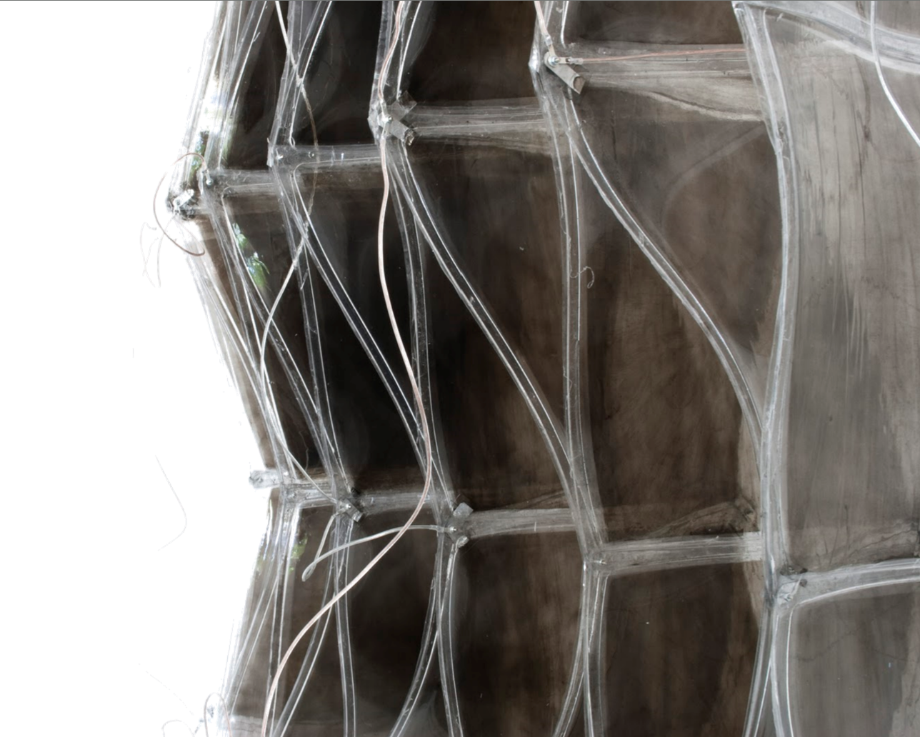 EAPtics soft robotics