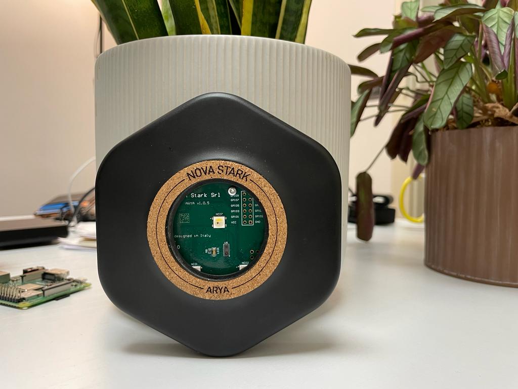 Arya IoT device