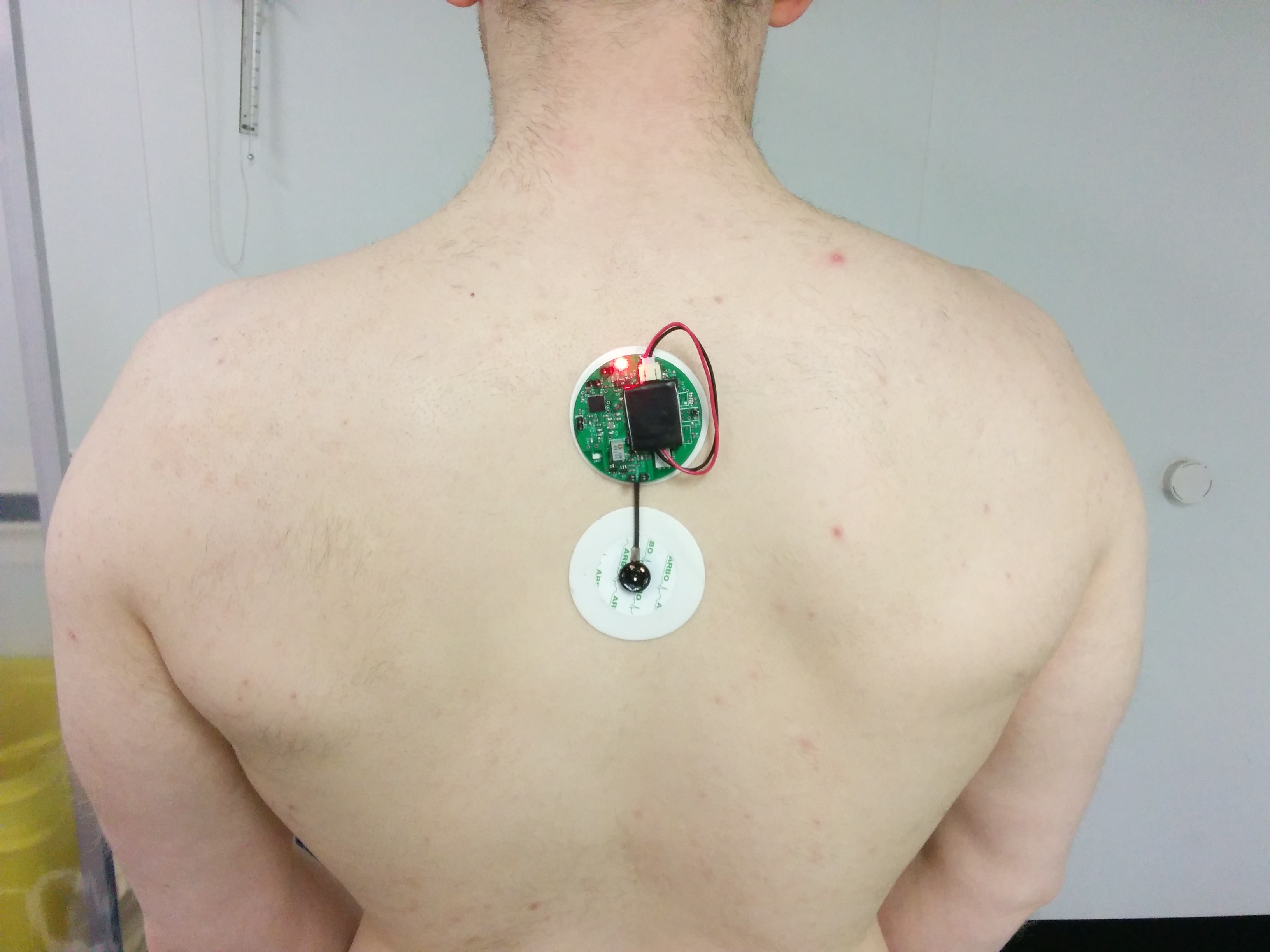 Spinal sensor detail